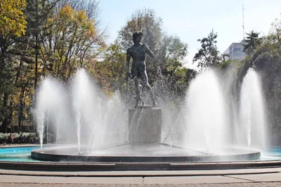 Colonia Roma Walking Food Tour with Tastings in Mexico City