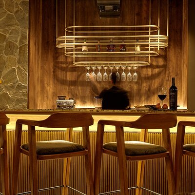Wine Tasting Experience with Tasting Menu