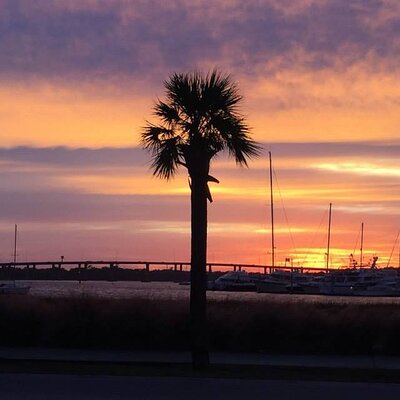 Private Walking Tours of Historic Charleston