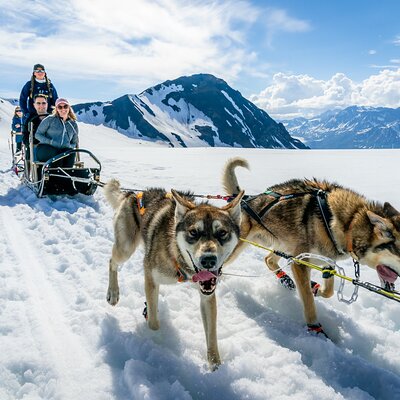 Seward: Helicopter Glacier Dogsled Tour with 2 Landings