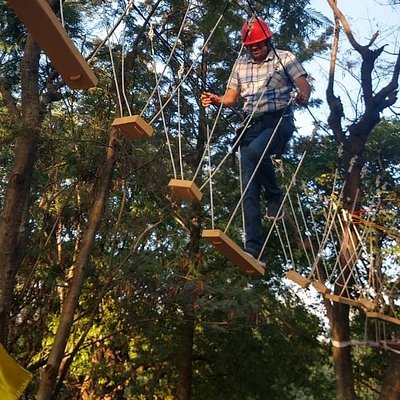 Tea Top Adventure Activities