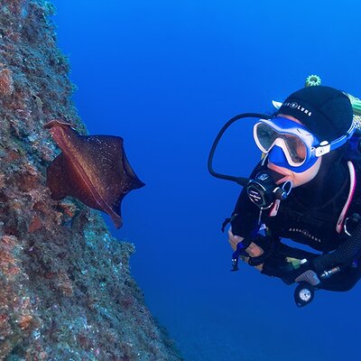 Small-Group Scuba Diving Adventure in Costa Brava