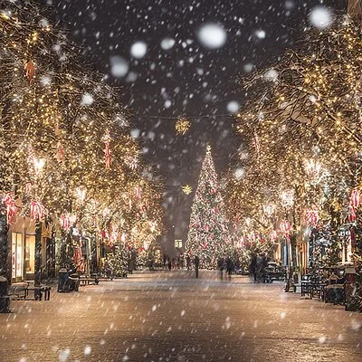 Asheville Holiday Season City Tour