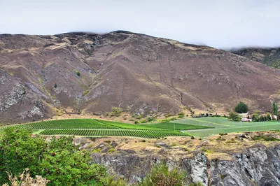 Queenstown Award Winning 6-Hour Premium Wine Tour with Tastings at 4 Gibbston Wineries