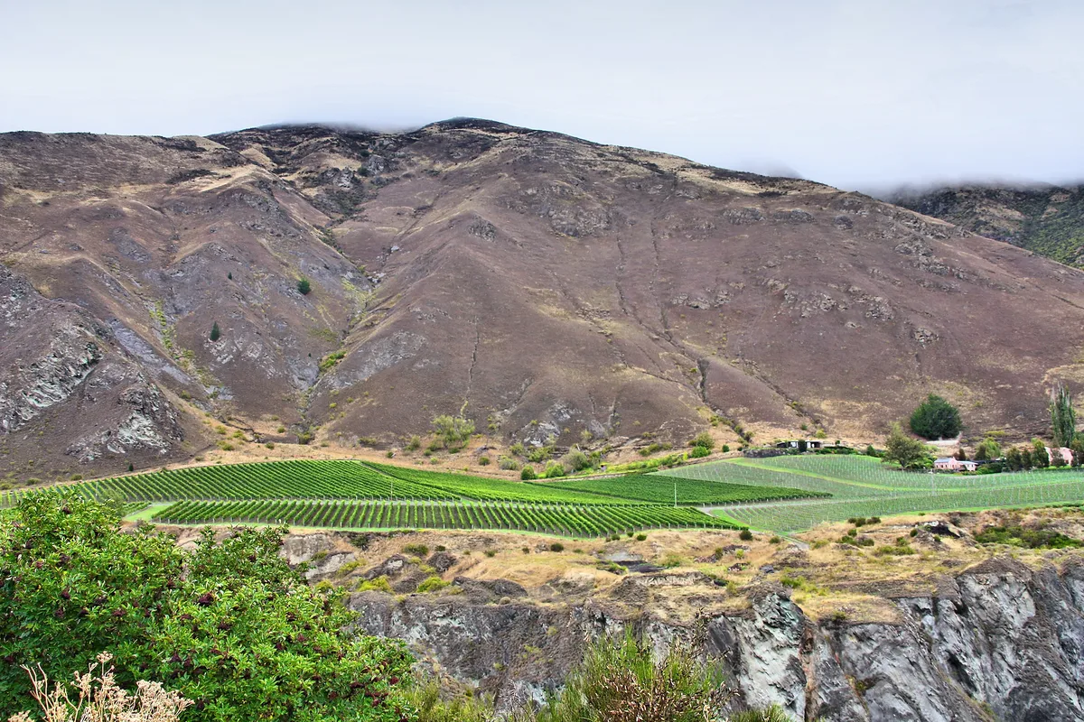 Queenstown Award Winning 6-Hour Premium Wine Tour with Tastings at 4 Gibbston Wineries