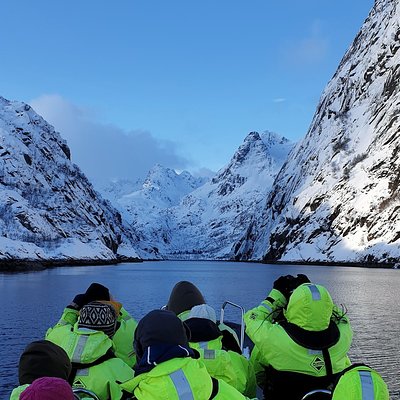 Trollfjord and Sea Eagle Safari Tour from Svolvaer