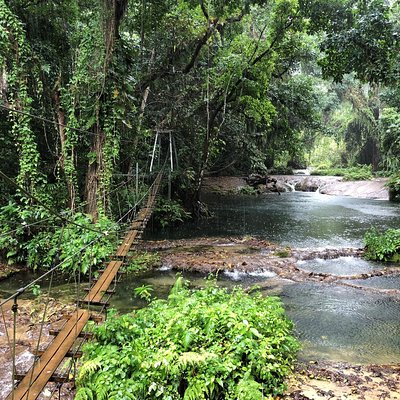 Bridges of Eden with Yumi Tours
