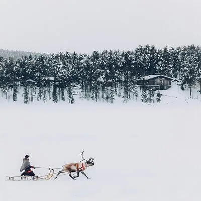 Sami day tour adventure