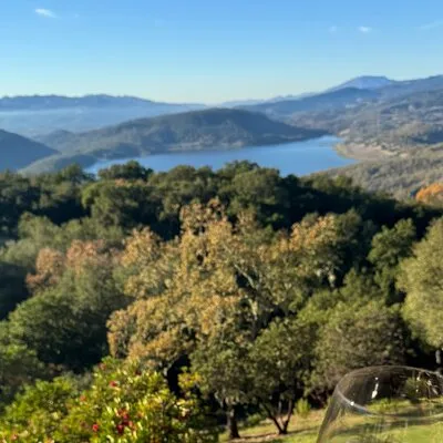Manny's Wine Tours