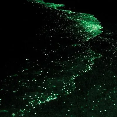Bioluminescence Kayak Tour in the San Juan Islands