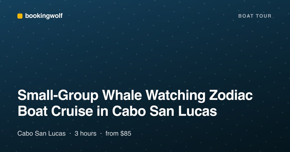 Small-Group Whale Watching Zodiac Boat Cruise in Cabo San Lucas