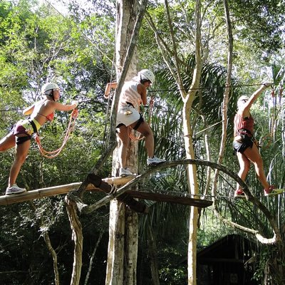 Tree Climbing In Bonito