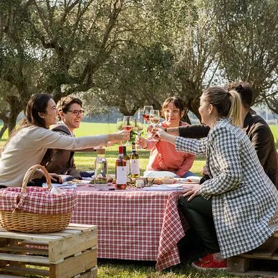 2-Hour Picnic among the Olive Trees with Typical Abruzzese Products