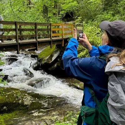 Stroll Back in Time Smokies History Streams and Forest Hike