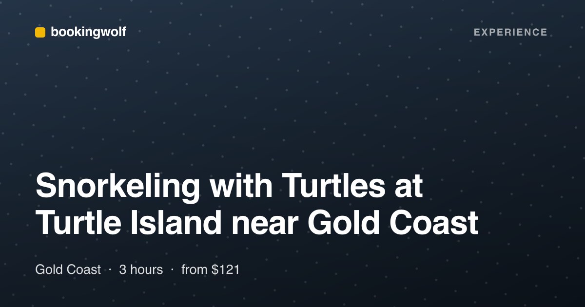 Snorkeling with Turtles at Turtle Island near Gold Coast