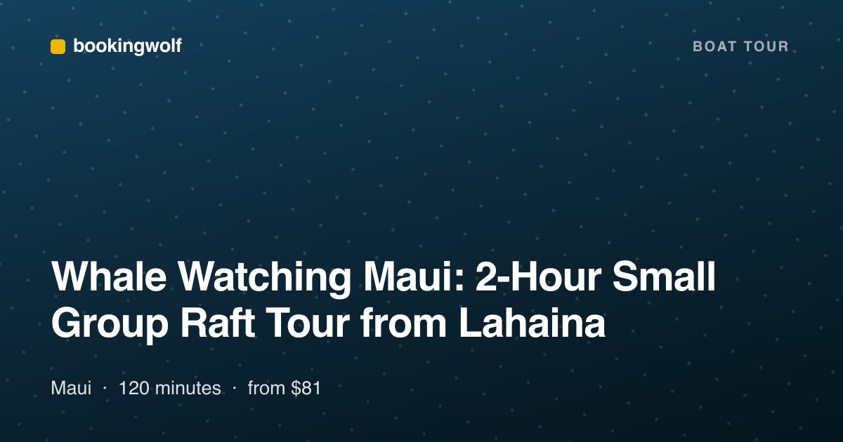 Whale Watching Maui: 2-Hour Small Group Raft Tour from Lahaina