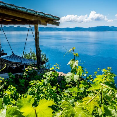 Dubrovnik's Organic Wine Experience with snack