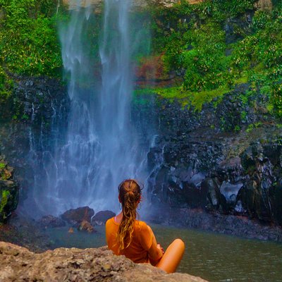 Gold Coast Rainforest Tours