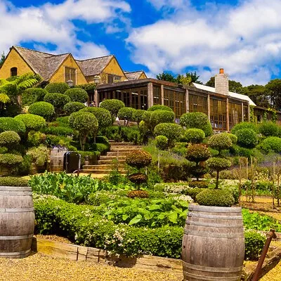 Waiheke Island Wine Tours