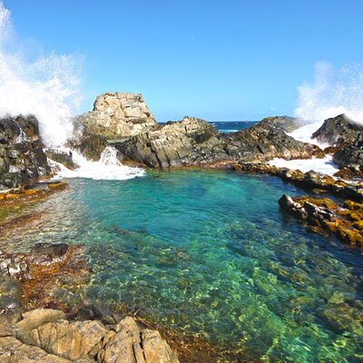 Fofoti Tours & Transfers