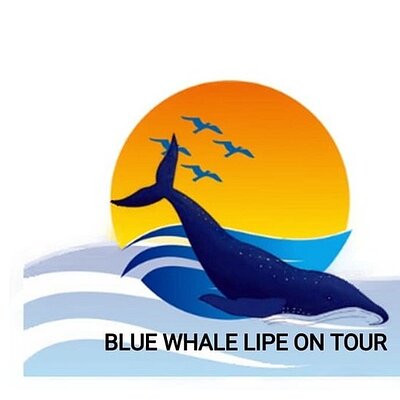 Blue Whale Lipe On Tour