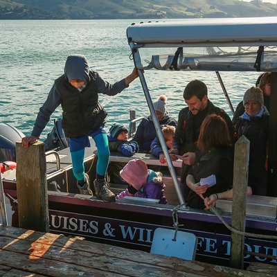 Dunedin WATER TAXI-Port To Port