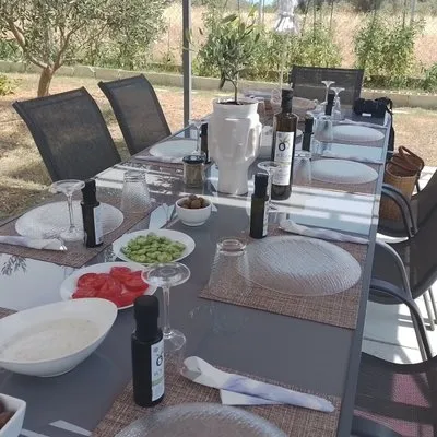 Olive oil seminar with tasting in Metaggitsi – Halkidiki