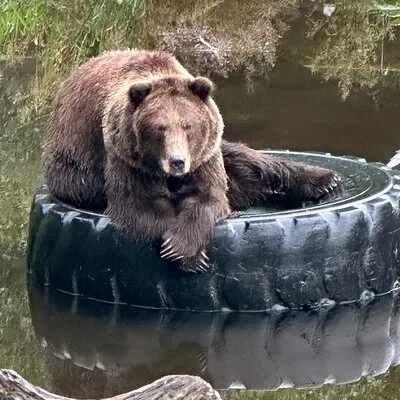 Sitka Scenic Private Tour