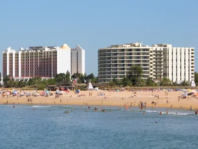 Vilamoura Benagil and Dolphins Tour