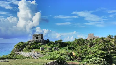 Tulum Small-Group 7-Hour Tour of 3 Cenotes: Casa Cenote, Taak Bi Ha & Aktun Yax Kan