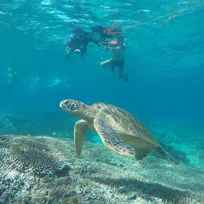 Explore Cebu Tours & Travel