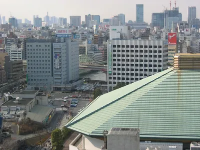 Sumo Tournament in Tokyo, Osaka, Nagoya, and Fukuoka with Optional Dinner