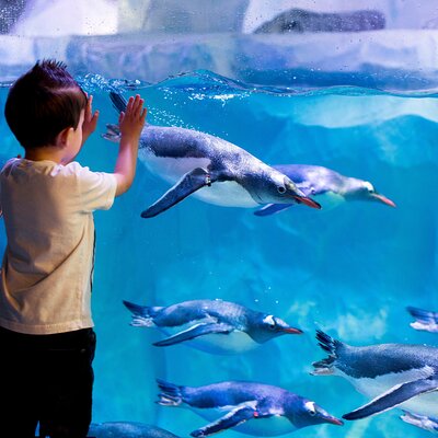 SEA LIFE Paris Val d'Europe