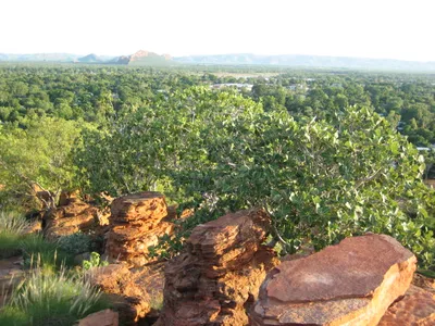 Ord River Explorer Cruise on Lake Kununurra with Sunset