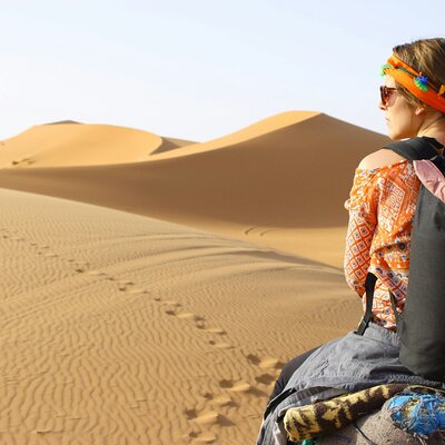 Pushkar Camel Safari Adventure