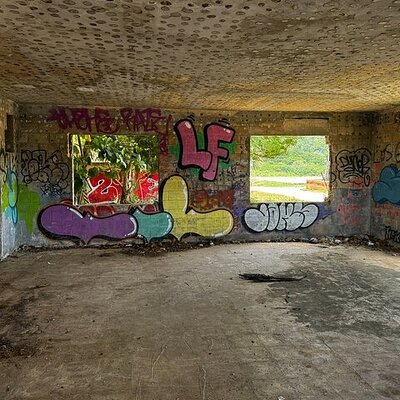 Aguadilla UTV Off-Road Tour to Faro Ruins!