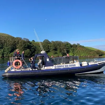 Private family sea safari