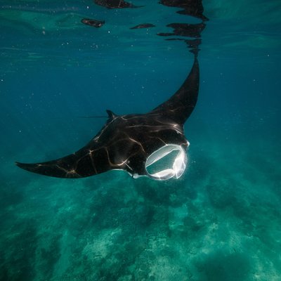 Cape Immersion Tours
