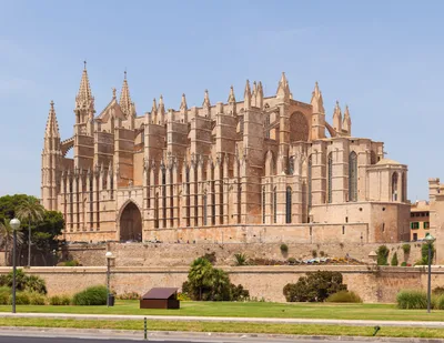 2-Hour Deluxe Segway Tour of Palma including Cathedral de Mallorca and Passeig Del Born