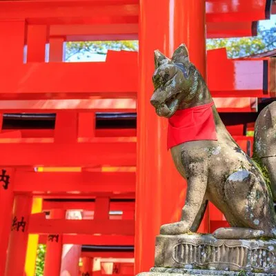 Fushimi Inari Deep Shinto Shrine Tour while Hiking with Expert