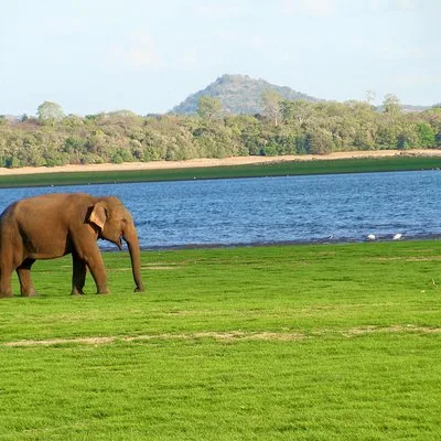 Gal Oya National Park Safari