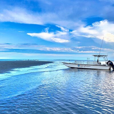 Hilton Head Vanishing Island & Beachcombing Cruise