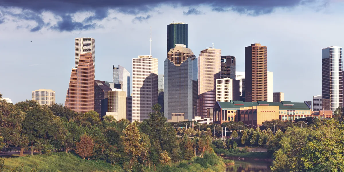 Houston City Tour 2.5-hour Van Tour