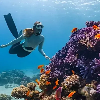 Bali Triptop