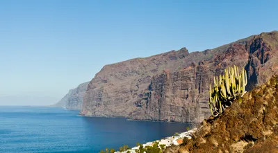 Los Gigantes Whale Watching Sail Boat Charter in Tenerife