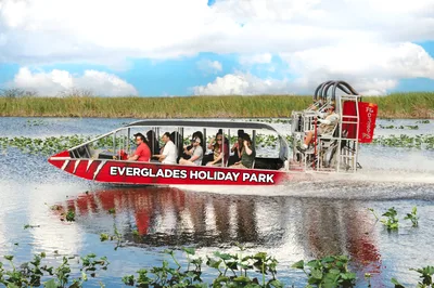 Everglades Airboat Adventure with Hotel Transport and Pickup from Miami