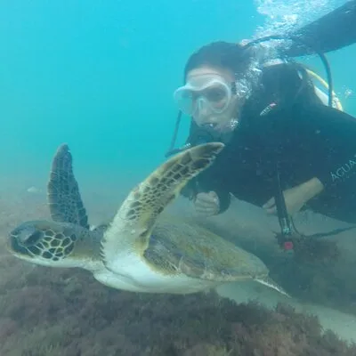 Diving in Turtle Paradise C/ Underwater Photos