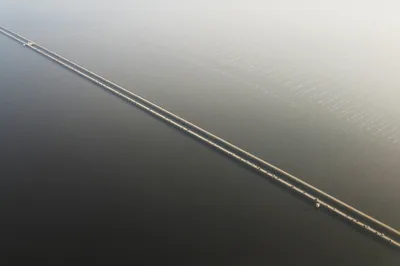 New Orleans Swamp and Bayou Boat Tour with Transportation