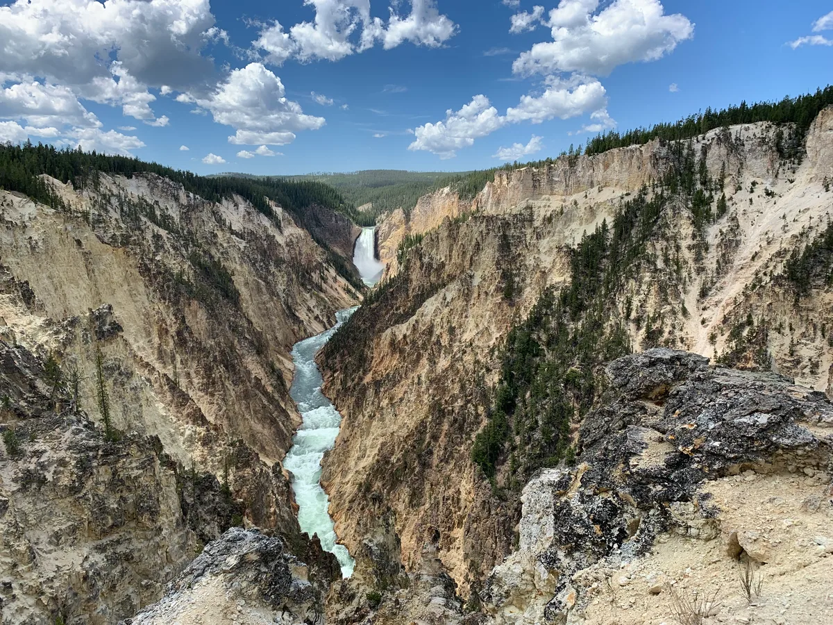 Yellowstone Grand Canyon Rim and Loop Hike with Lunch