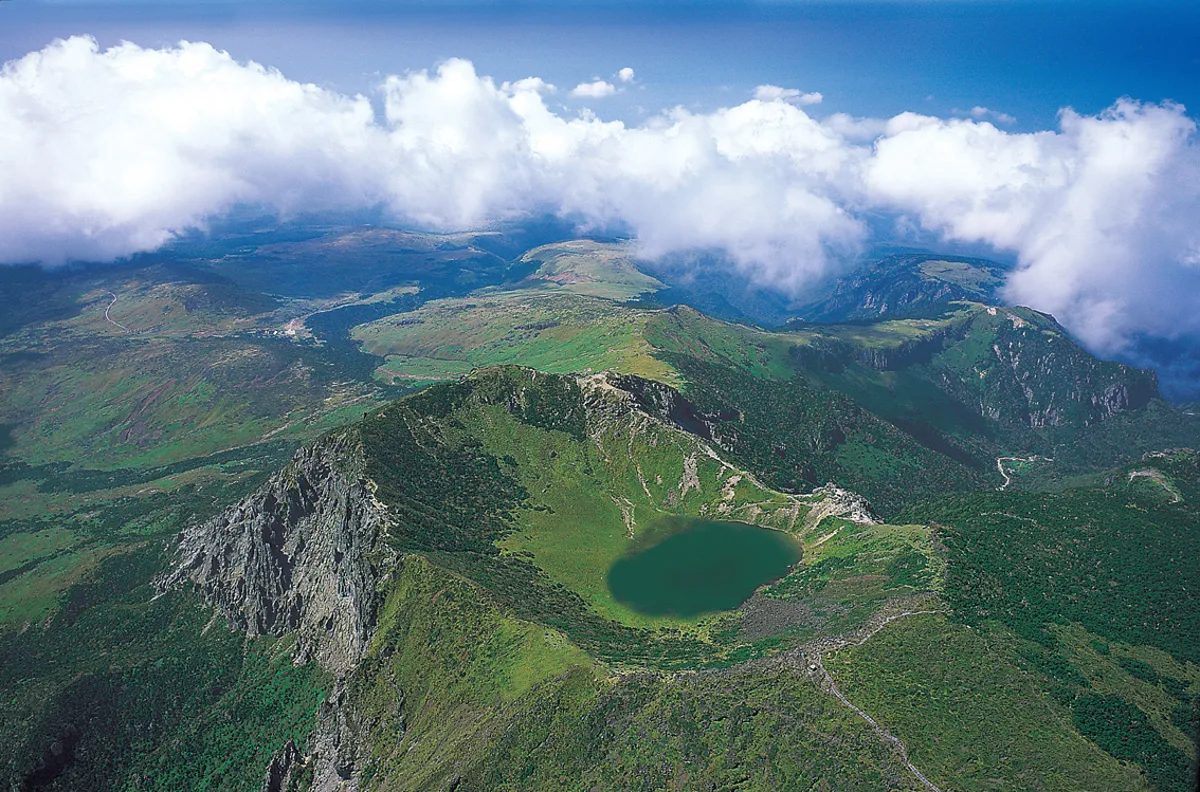 Jeju Southern UNESCO Full-Day Tour of Mt. Halla, Jusangjeolli Cliff, Waterfalls, Tea Museum and Bomunsa Temple